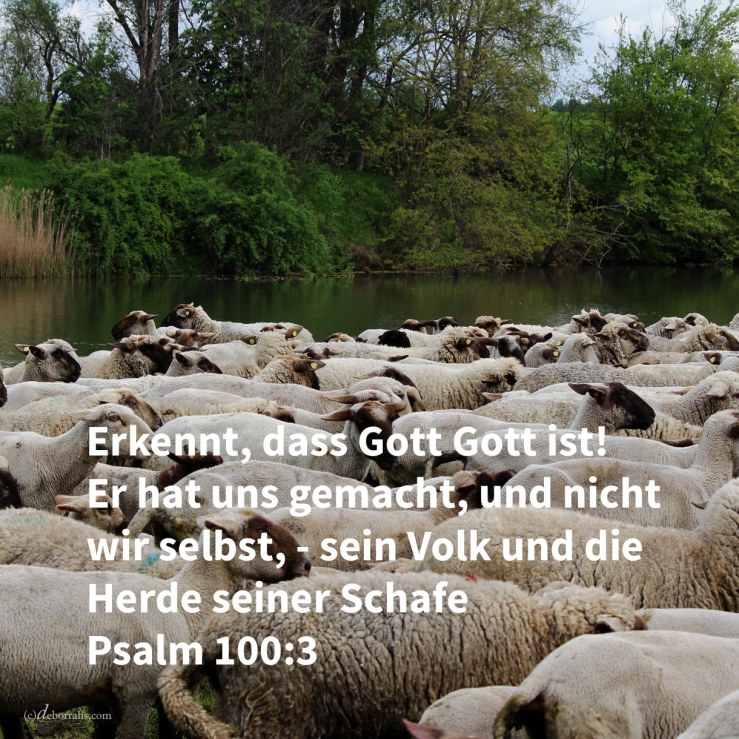 Erkennet, dass jehova Gott ist! Er hat uns gemacht, und nicht wir selbst, - sein Volk und die Herde seiner Weide ( Psalm 100,3 )