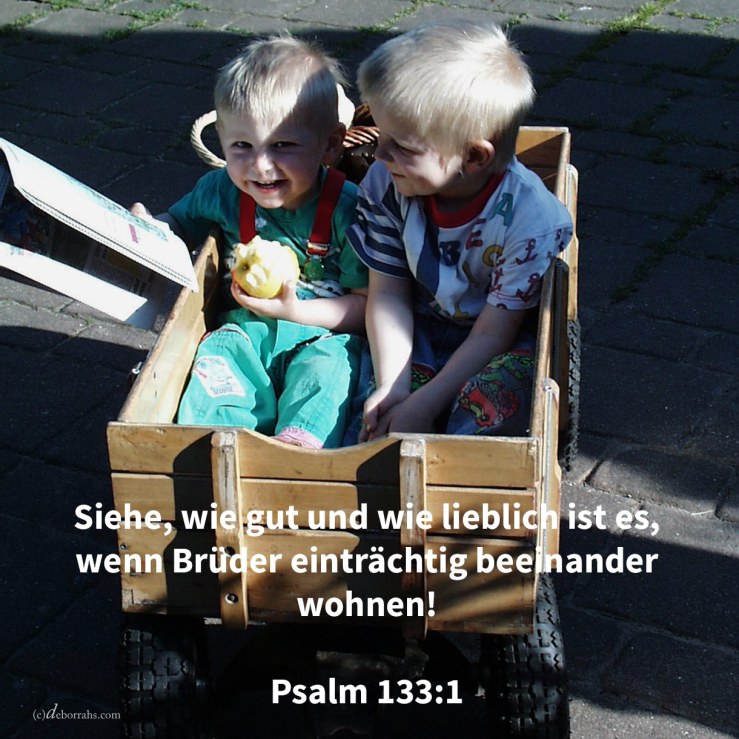 Siehe, wie gut und wie lieblich ist es, wenn Brüder einträchtig beeinander wohnen! ( Psalm 133,1 )